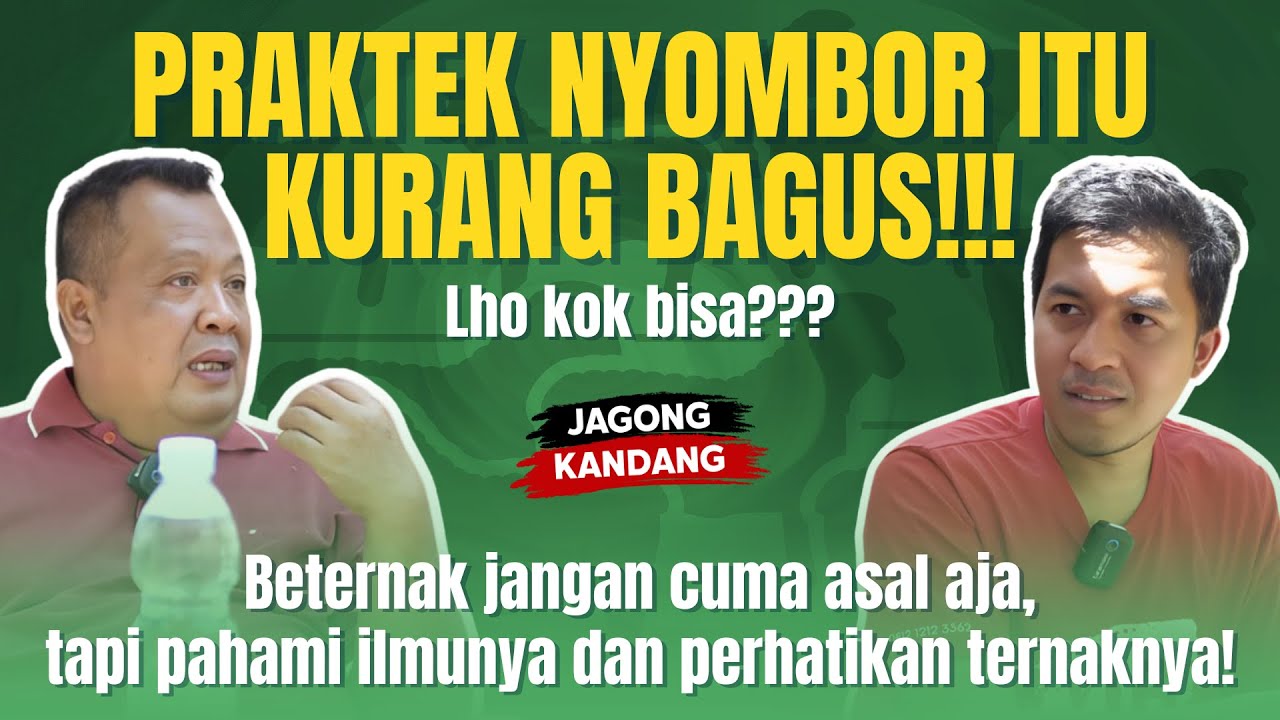 TIPS PILIH PAKAN DOMBA SAAT MUSIM KEMARAU! JANGAN SALAH PILIH | Yuk join grup YIB Farm Berbagi Ilmu