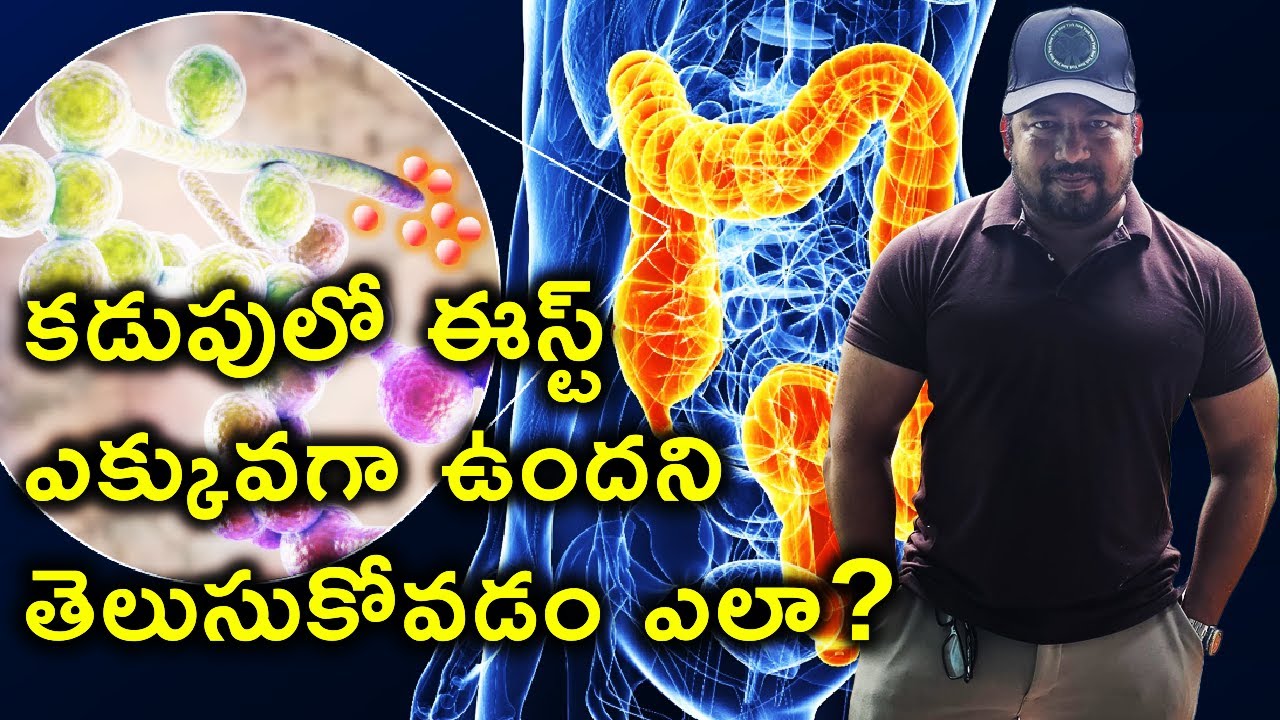 కడుపులో ఈస్ట్ ఎక్కువగా ఉందని తెలుసుకోవడం ఎలా? How To Find Out Yeast Overgrowth In The Gut?