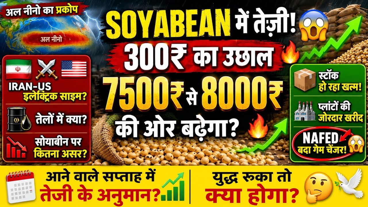 🔥सोयाबीन में तेज़ी , 8000₹ की ओर 🚨 Iran-US war, NAFED Stock और अल नीनो से सोयाबीन भावों का बड़ा खेल