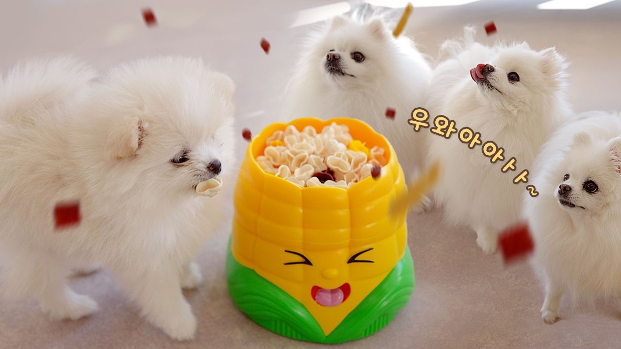 간식이 하늘에서 쏟아진다면? 팝콘 게임!