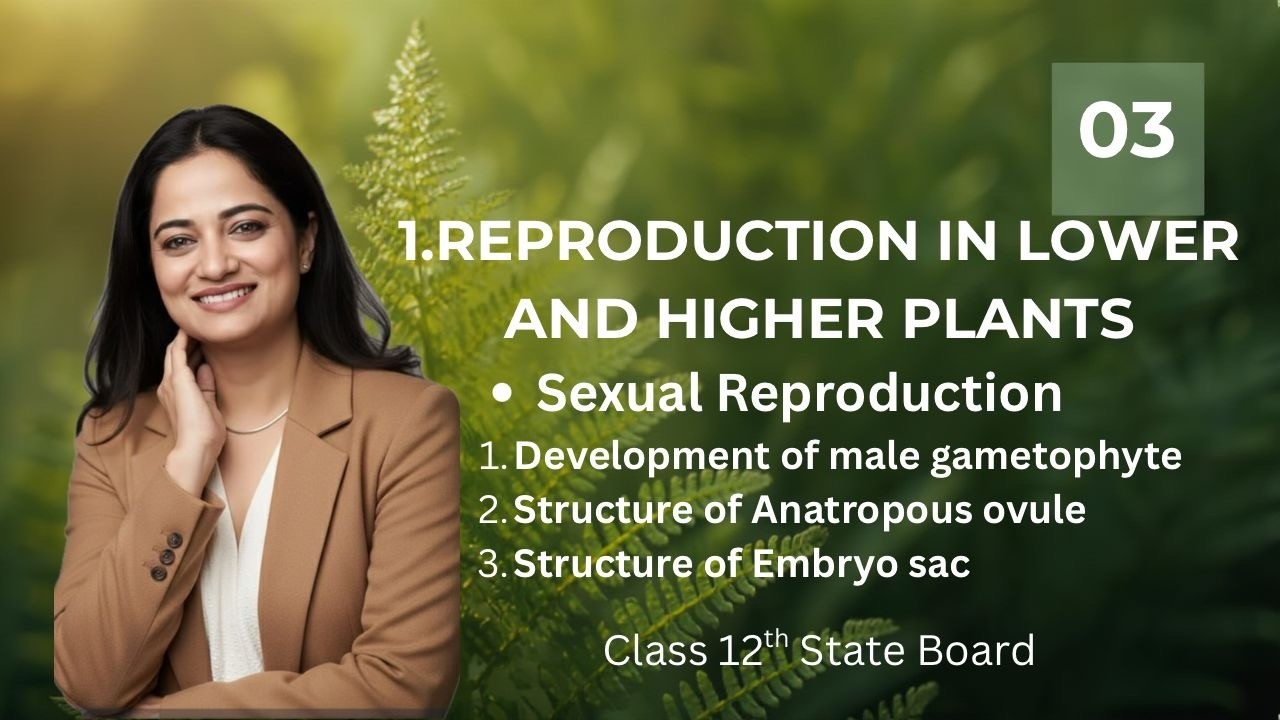 1. Reproduction in Lower and Higher Plants {Sexual Reproduction} I State Board I Class 12th Biology