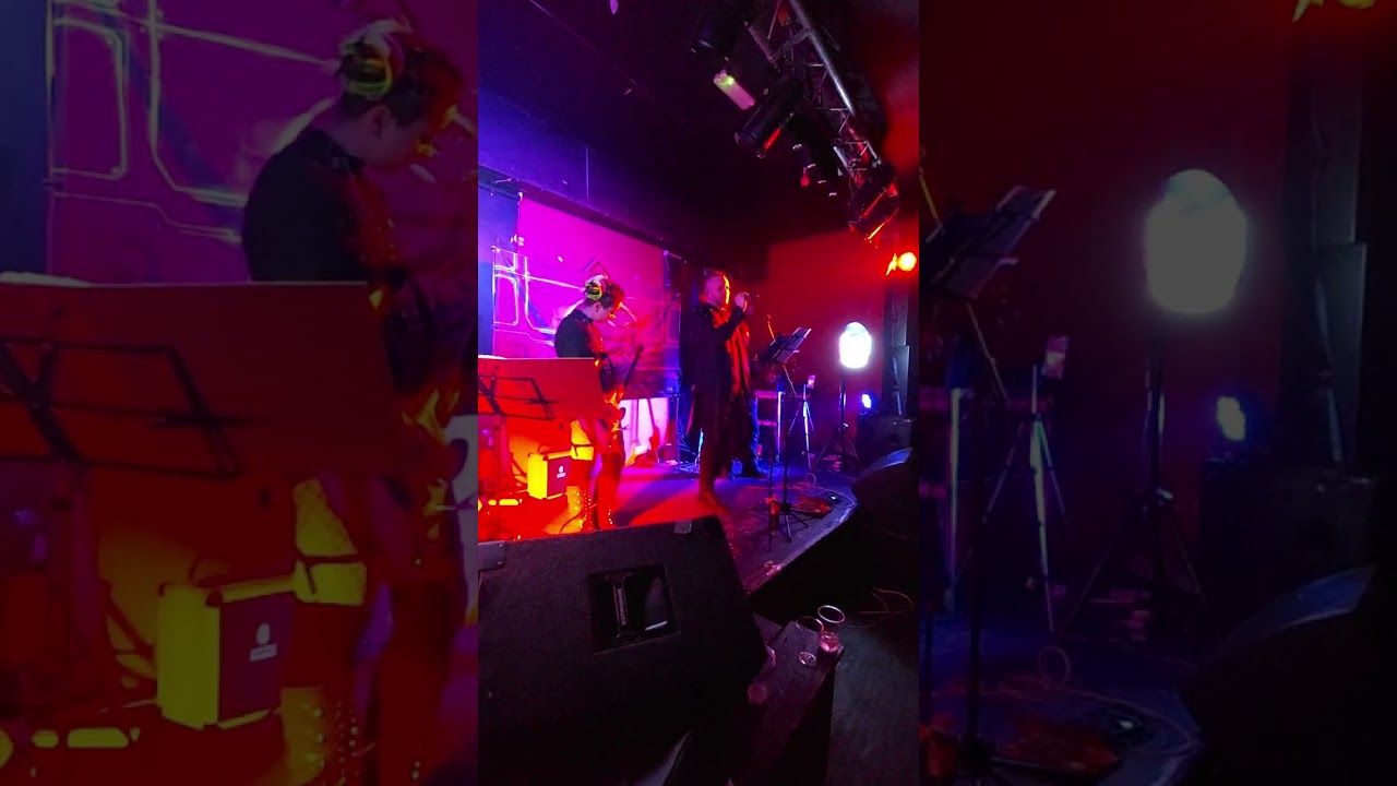 Veins of Mercury - Wicked Game Cover Live