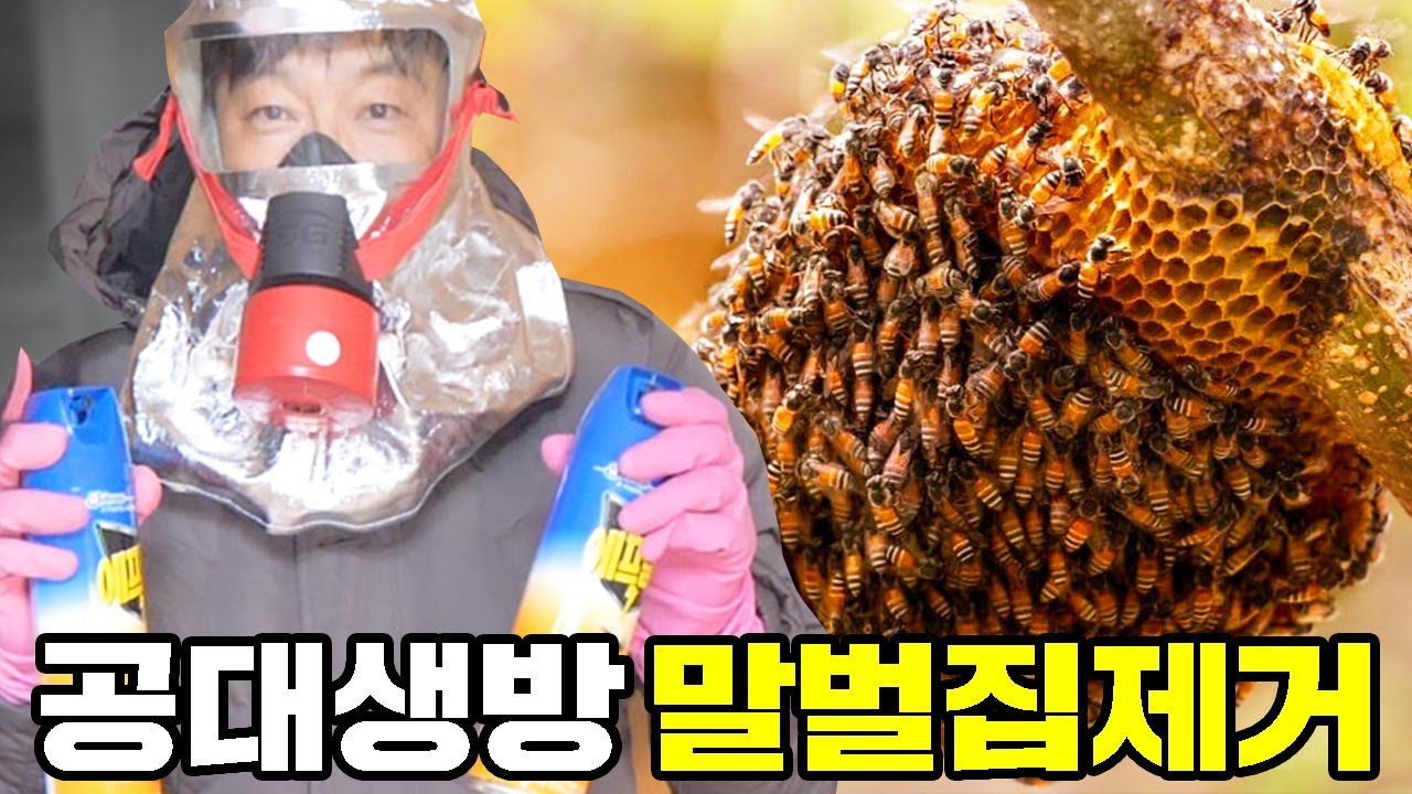 공대생 방앞에 있는 말벌집제거!! 제거하다 말벌보고 쪼려서 119부름 [ 공대생가족 ]