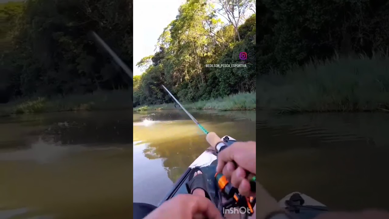 Ataque de Tra&iacute;ra  😱   #pescaesportiva #pesca #pescaria #tra&iacute;ras #caiaque #caiaqueiros