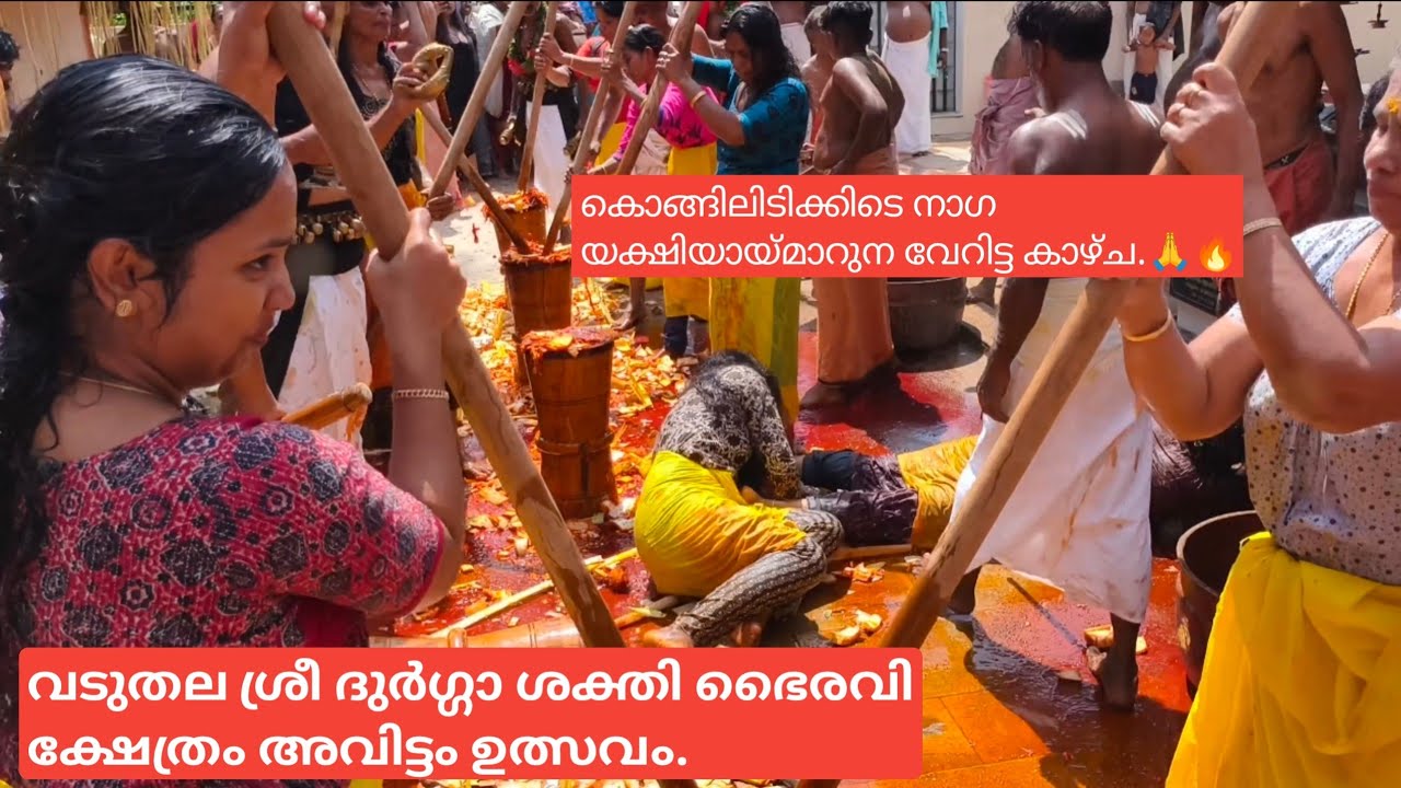 കൊങ്ങിലിടിക്കിടെ നാഗ യക്ഷിയായ് മാറുന്ന വേറിട്ട കാഴ്ച്ച 🙏 l വടുതല ശ്രീ ദുർഗ്ഗാ ശക്തി ഭൈരവി ക്ഷേത്രം.