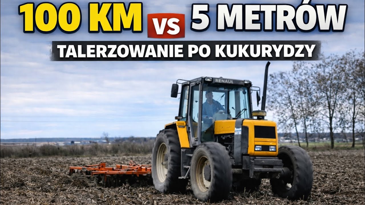 100 km vs 5 metrów !! Talerzowanie po kukurydzy