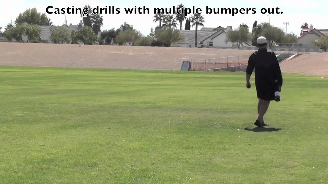 Retriever Training - My Labrador Retriever puppy is now 6 months old!