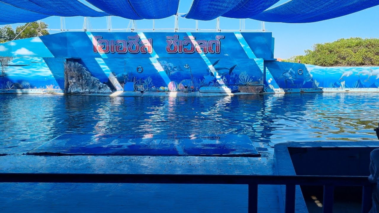 เที่ยวจันทบุรี ดูโชว์ปลาโลมา ที่ Oasis Sea World 