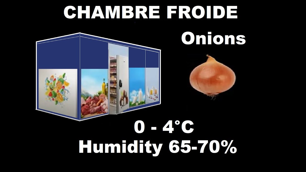 CHAMBRE FROIDE ONION SAFRIGO1
