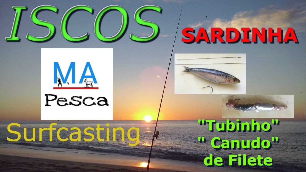 Como iscar sardinha (
