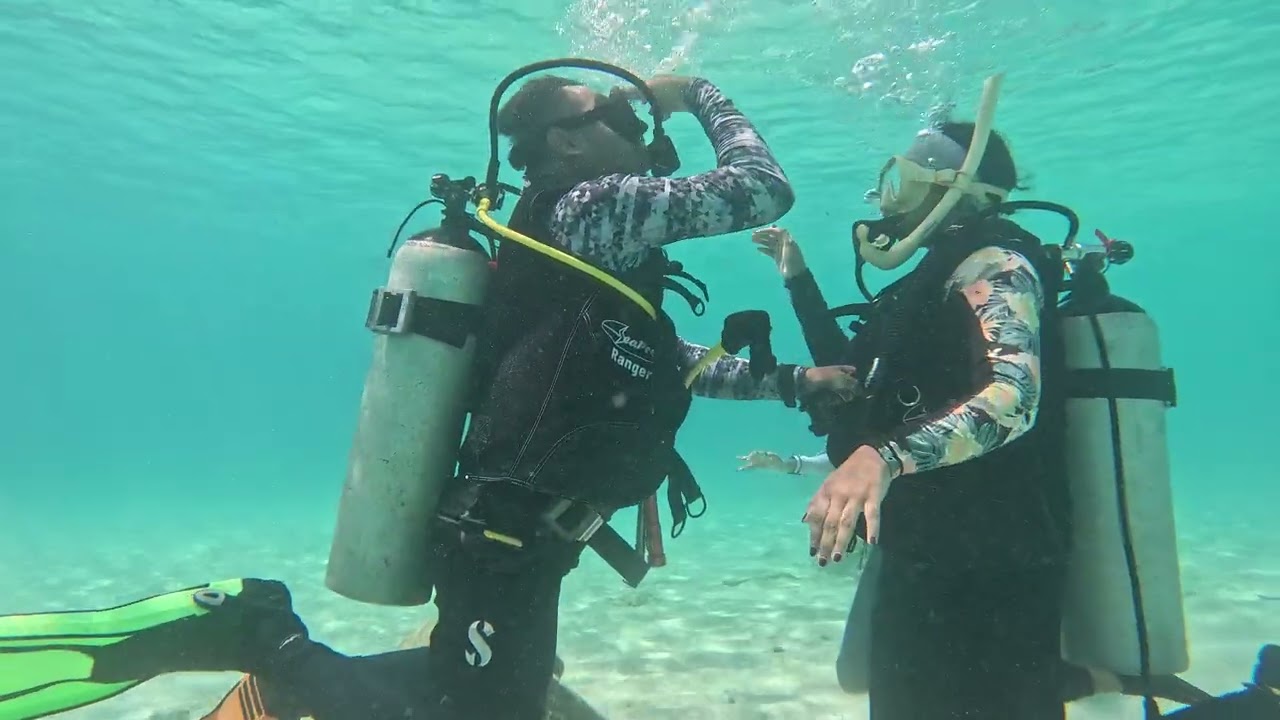 Dive at Sempornah IMG 7028
