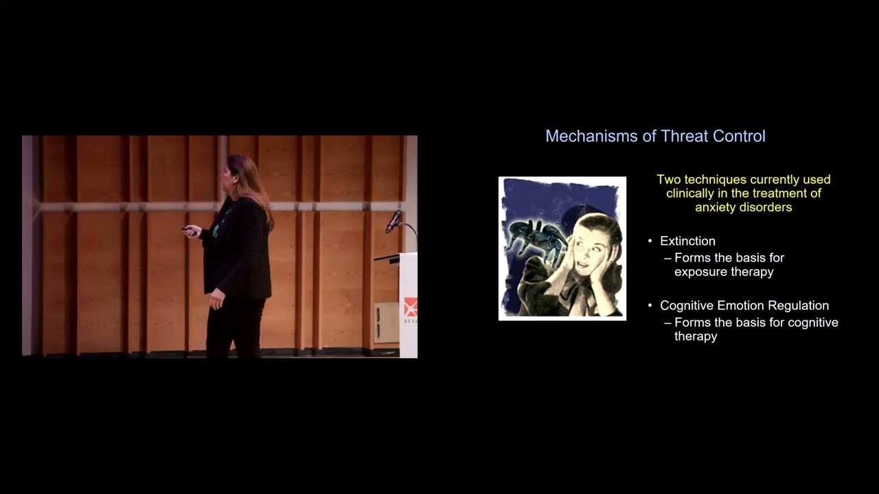 The Human Amygdala, Threat, and Anxiety: Translational Progress and Challenges