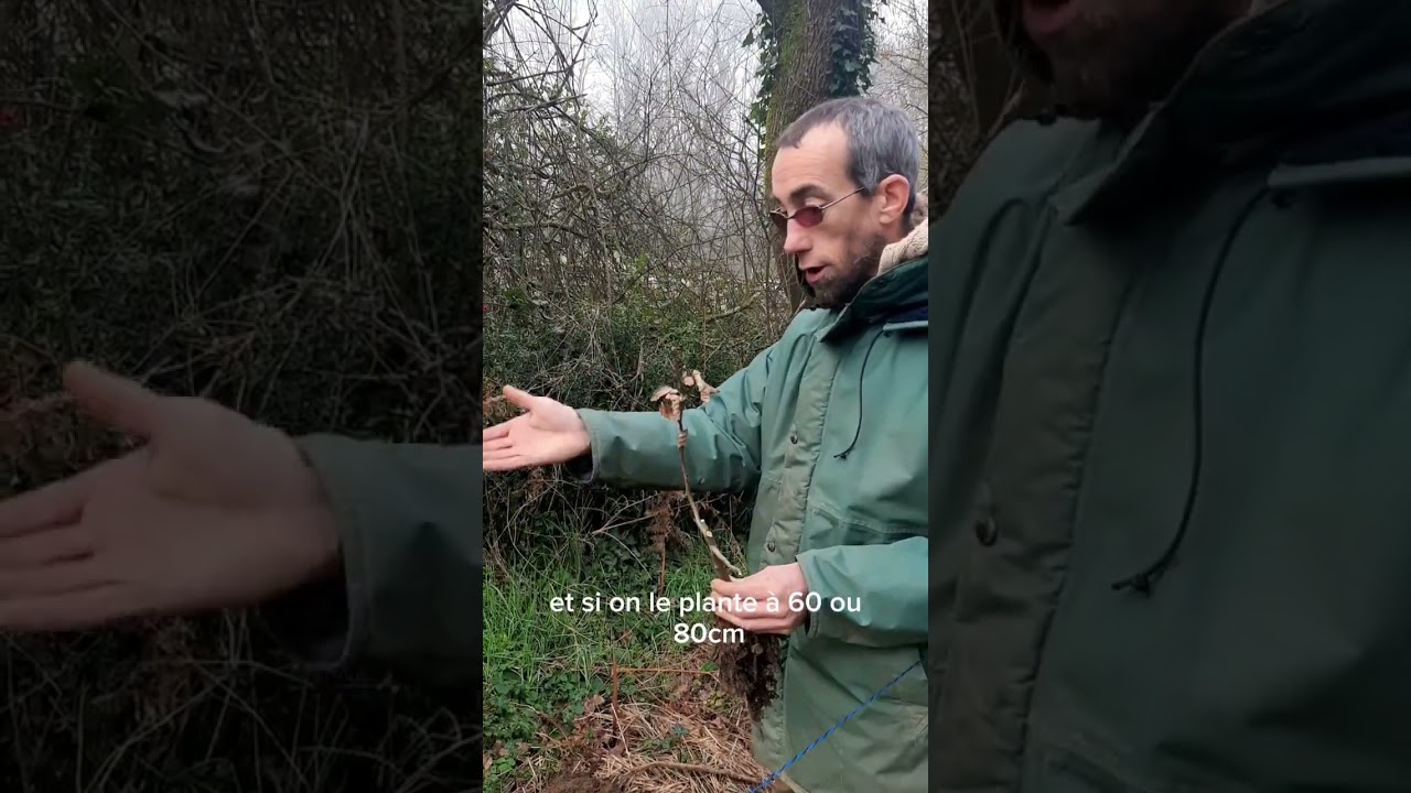 Haie Champêtre