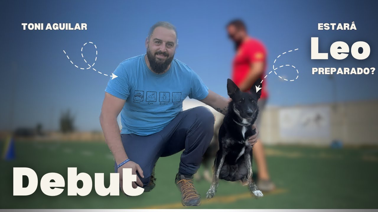 Como he entrenado con Leo y que hemos priorizado | ¿estará preparado?
