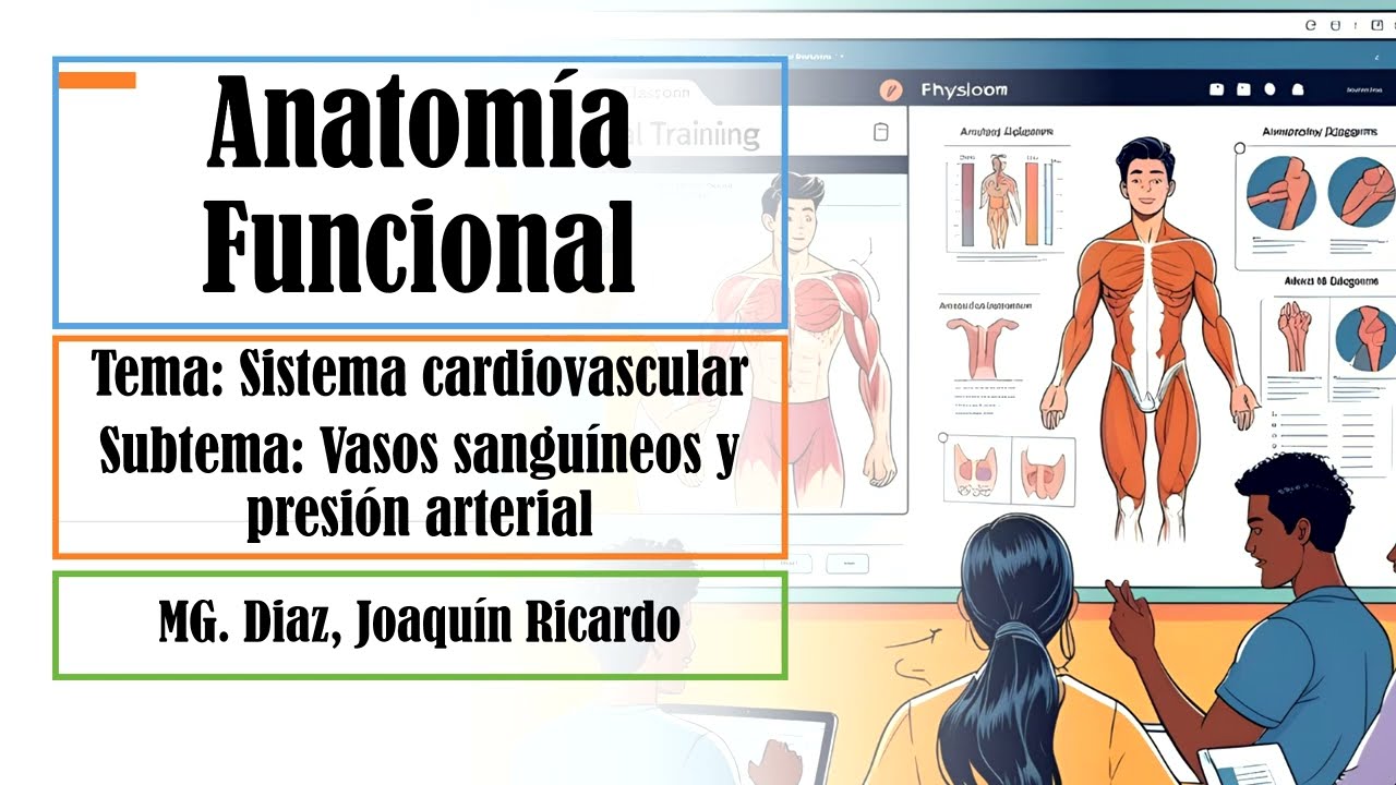 🎥 Sistema Cardiovascular – 5 – Vasos Sanguíneos y Presión Arterial