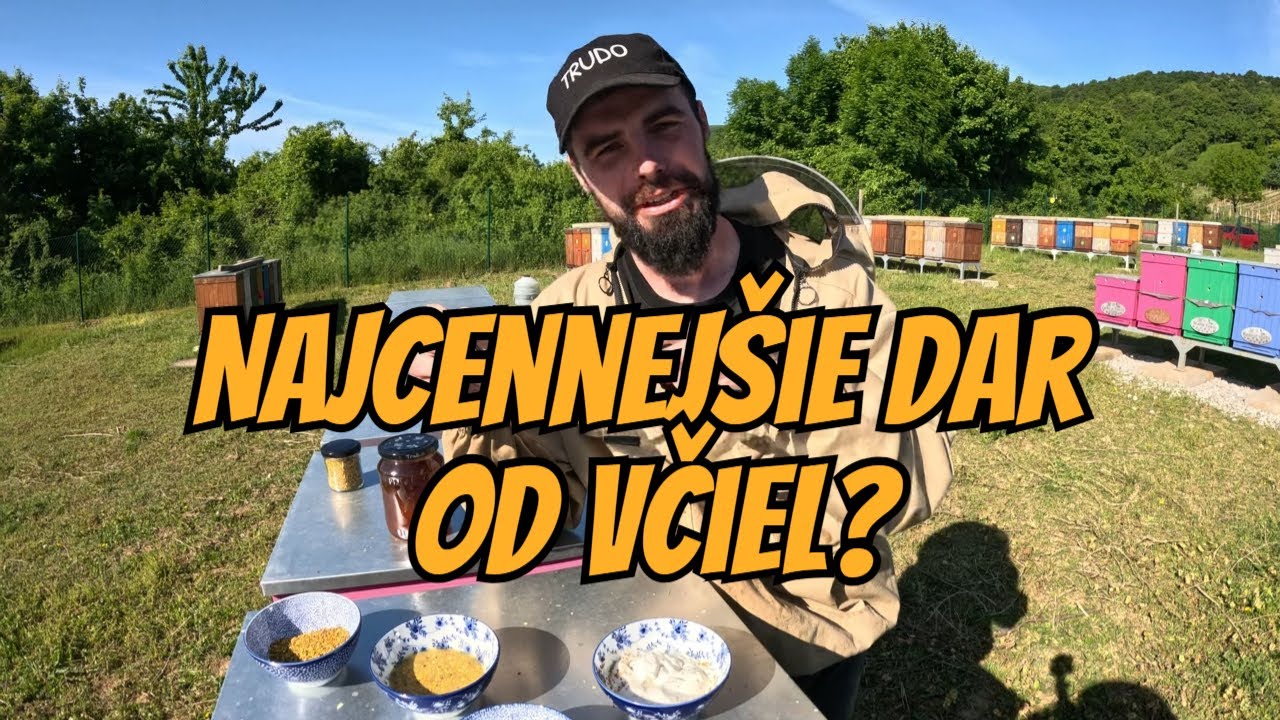 Vedel si, že včelí peľ je superpotravina?