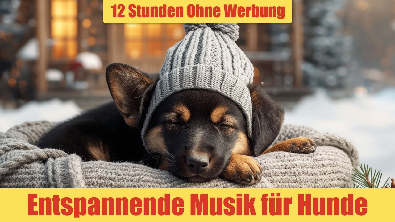 Hundemusik zum Entspannen - 12 Stunden Ohne Werbung | Beruhigende Einschlafmusik_vol.15