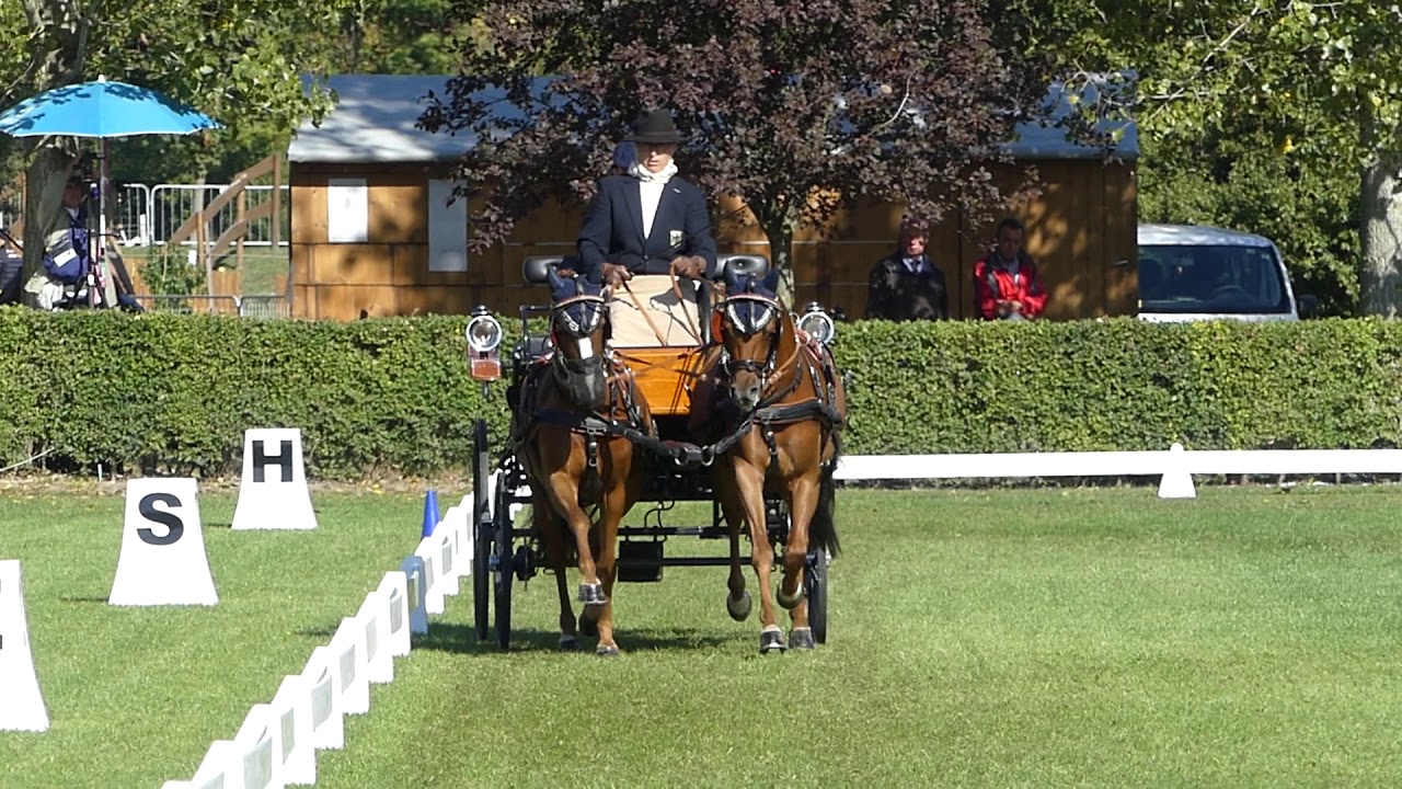 KOHLWEISS Birgit, GER, FEI  WCH P 1,2,4, Dressage Pairs, 26 09 2019