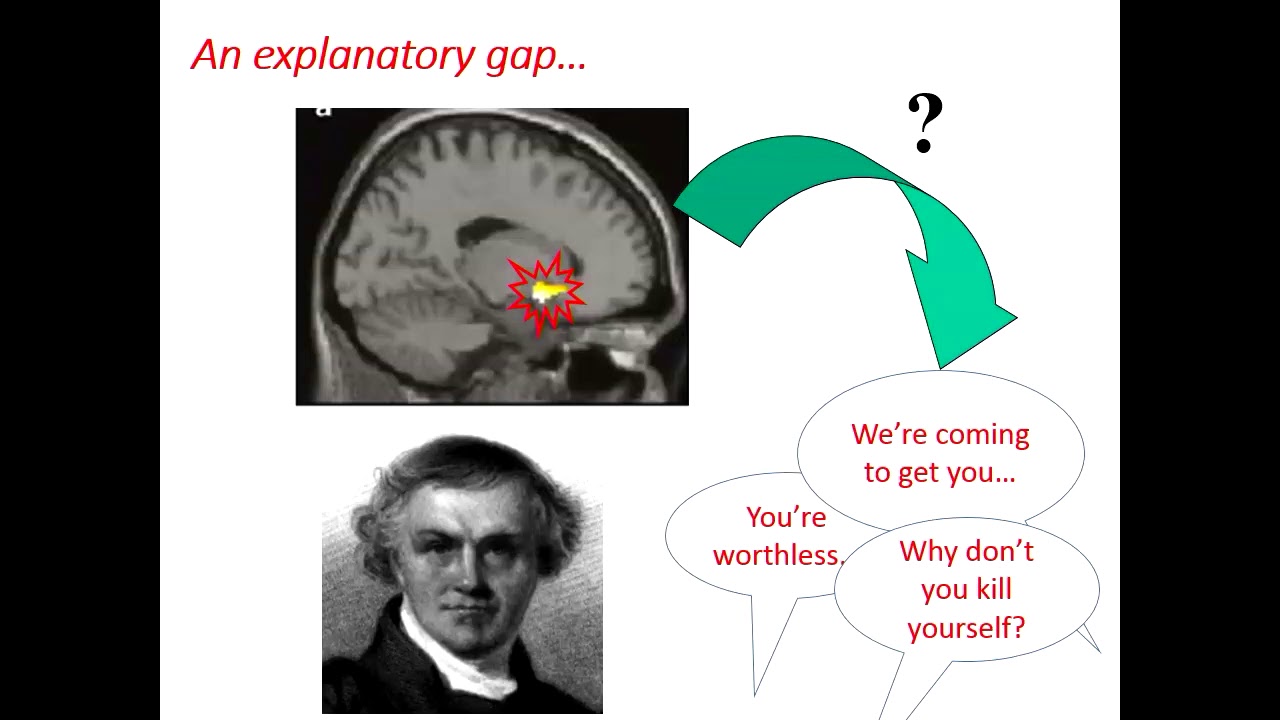 Current Topics in Psychological Research - Lecture - Paul Fletcher