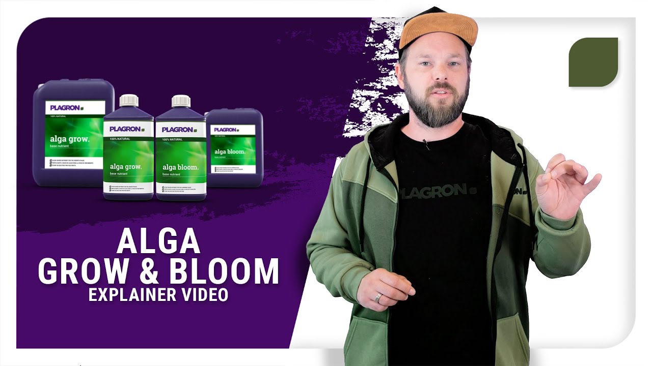 Plagron Alga Grow & Alga Bloom: Explainer video