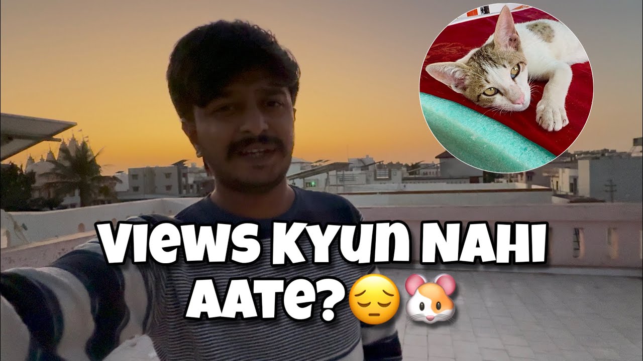 Daily Vlogging Karke Thak Gaya Hu 😔 | Puppy Ki Masti Ne Dil Jeet Liya ❤️