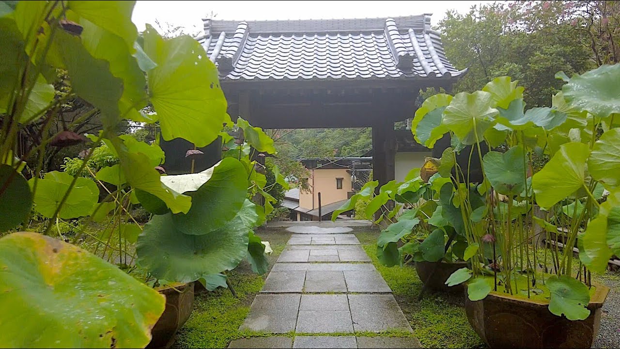 [4K] Kamakura Walk - A Foggy Morning in Nikaido