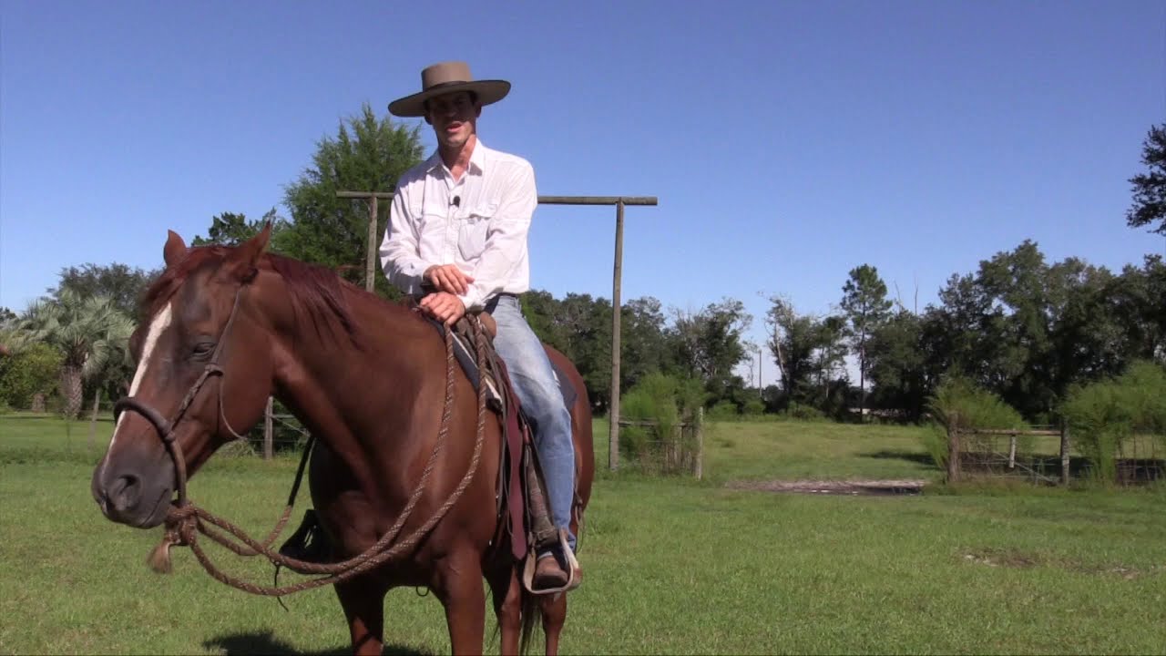 How To Do Canter Departures On Your Horse