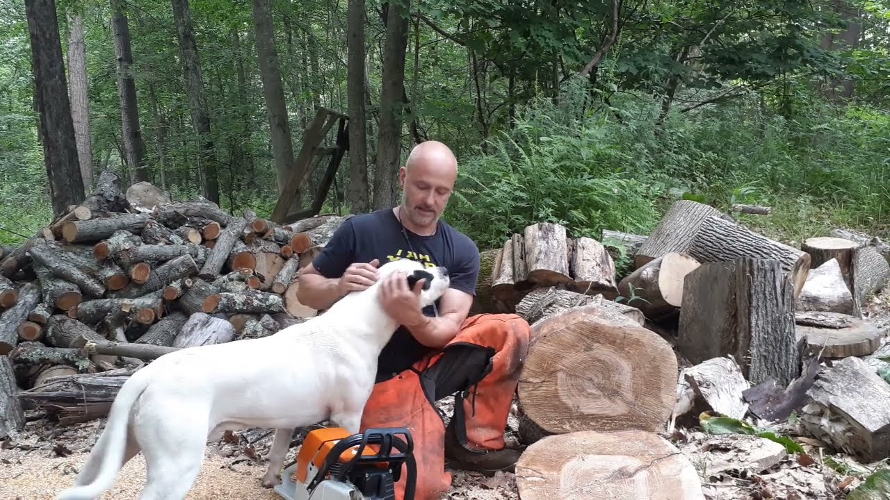 Bulletproofsaws- Stihl ms461 vs. Bulletproof 460