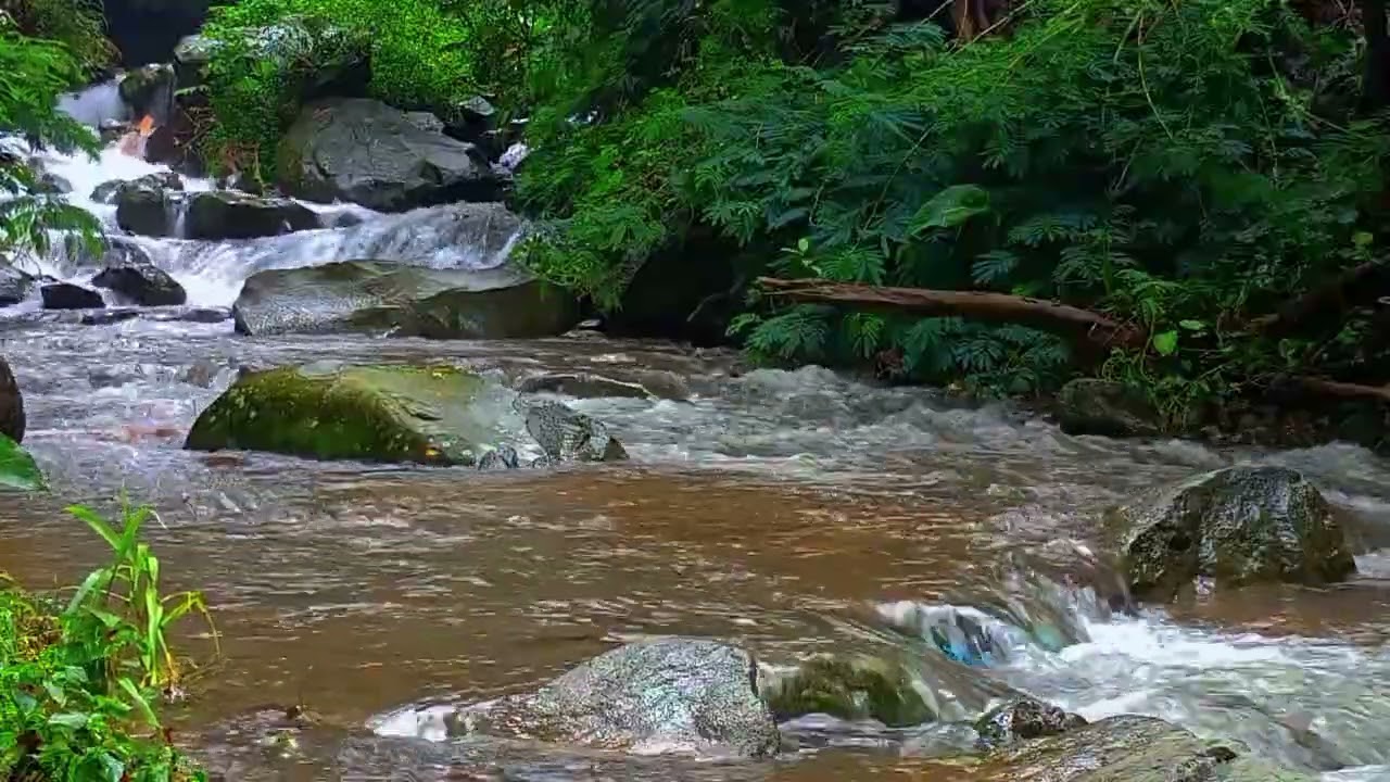 #soundforthesoul​ #sleepmusic​ #riversound​ sound therapy river sound