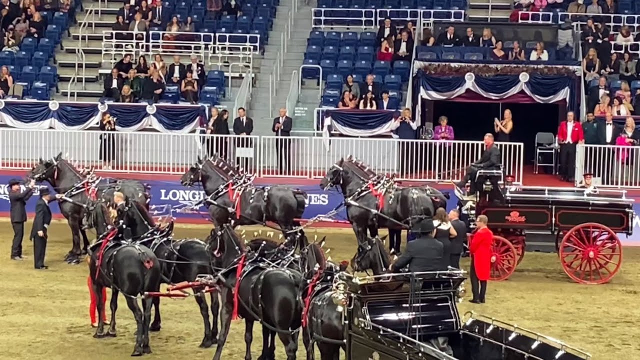 Percheron Six Horse Hitch Wagon The Royal Agricultural Winter Fair 2024 Horse Show