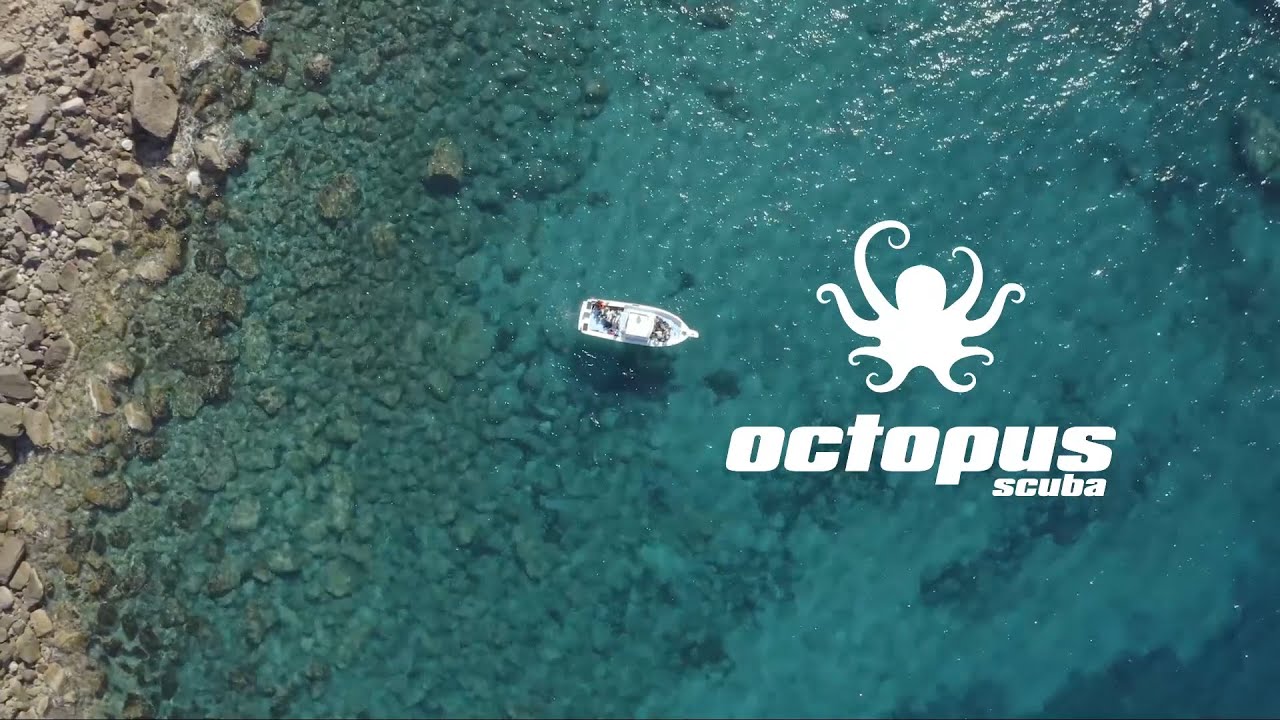 Octopus Mallorca - Scuba Diving Center