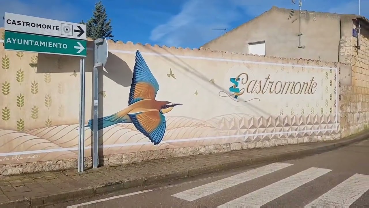 Camino de Santiago desde Madrid, Marzo Abril 2024, Etapa 10 Peñaflor de Hornija Medina de Rioseco