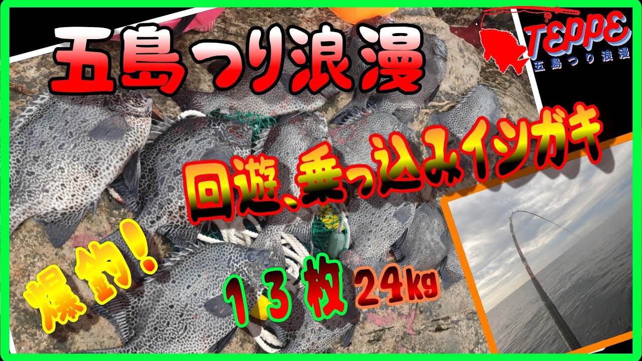 【五島 石鯛釣り】㉟予想外の爆釣！　ガキの乗っ込みは、終わったと思いきや、総重量２４㎏！