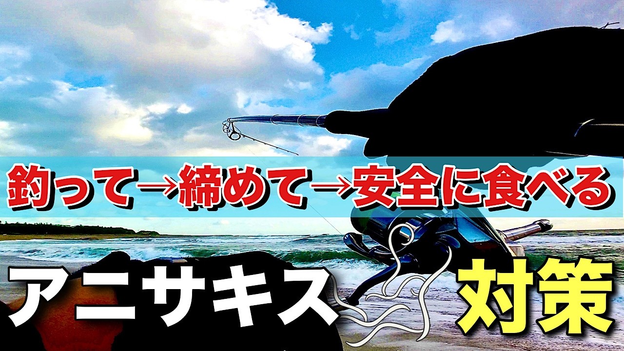 【サーフヒラメ】🐟釣って、アニ対策し食べる迄の動画