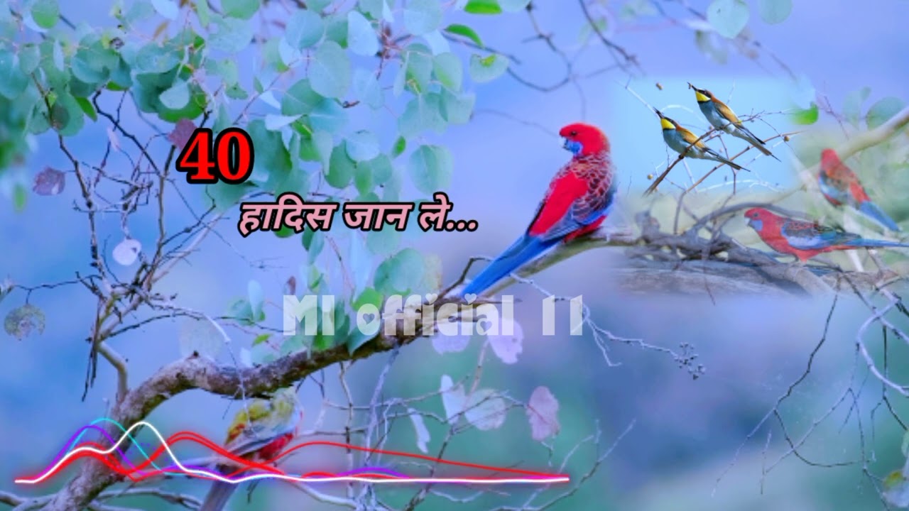 40 Hadis Jante hai,40 हदीस जानते हैं@ MI official 11.