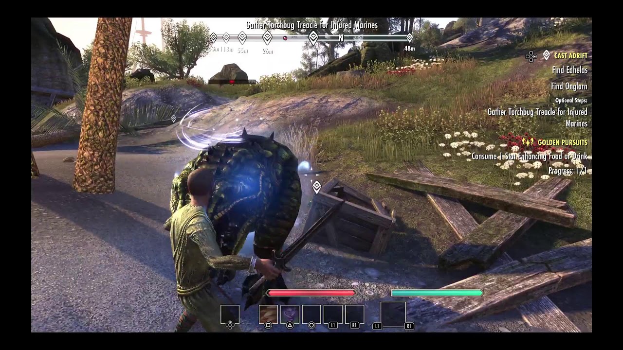 Elder Scrolls online-1st time playing