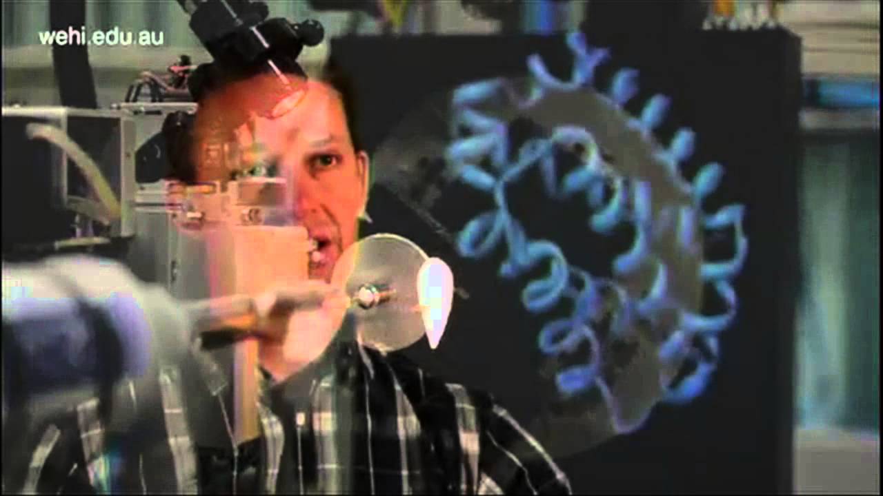 Programmed Cell Death