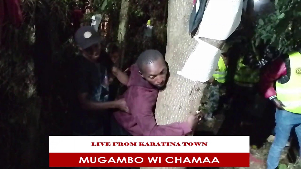 Tree hugging 82 hours in karatina Town 