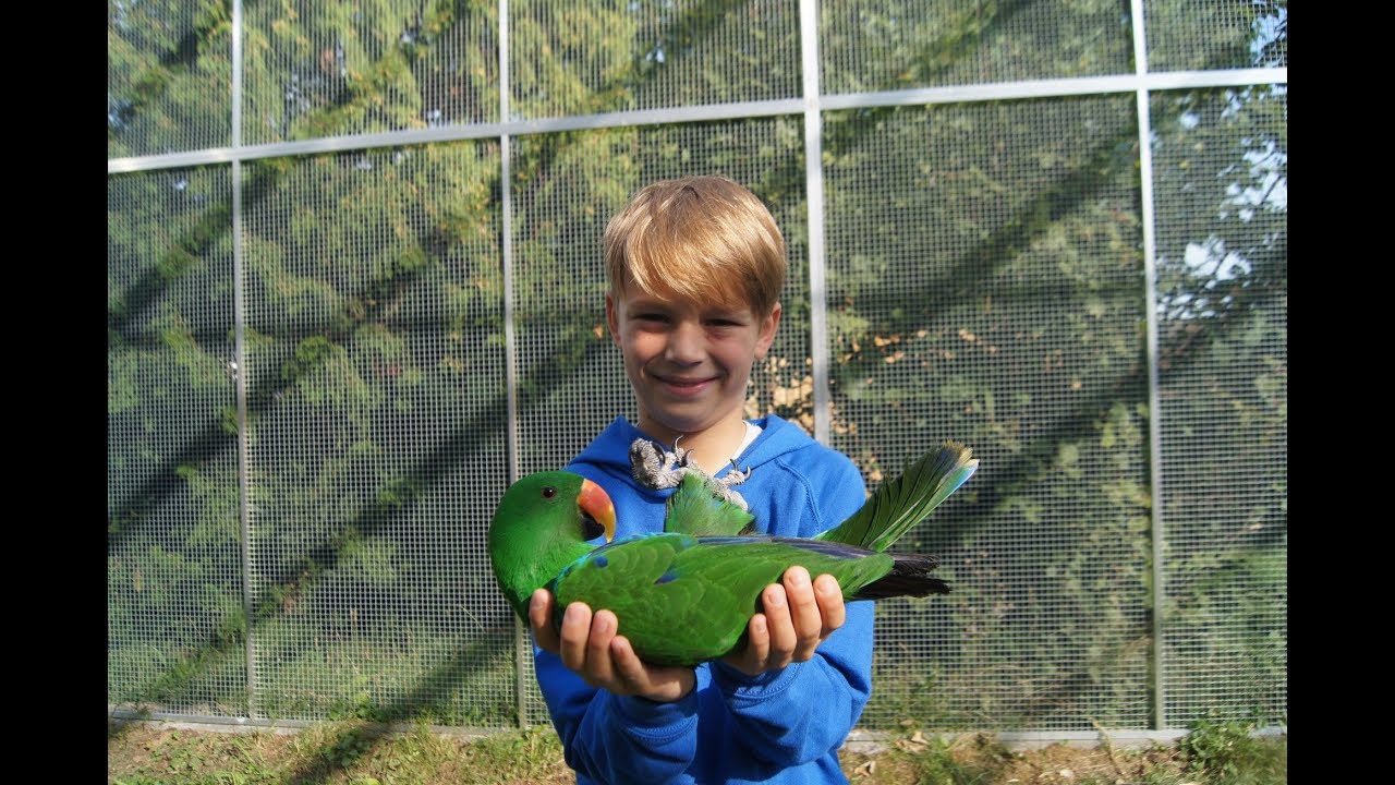 4 - Papoušek Adam říká Adamovi: vykakej se