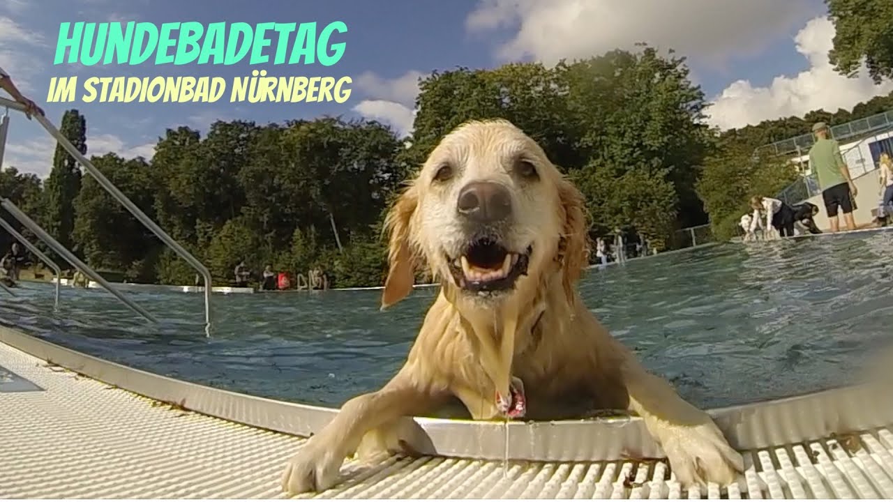 Hundebadetag im Stadionbad Nürnberg: Schwimmen mit Lilly & Lola