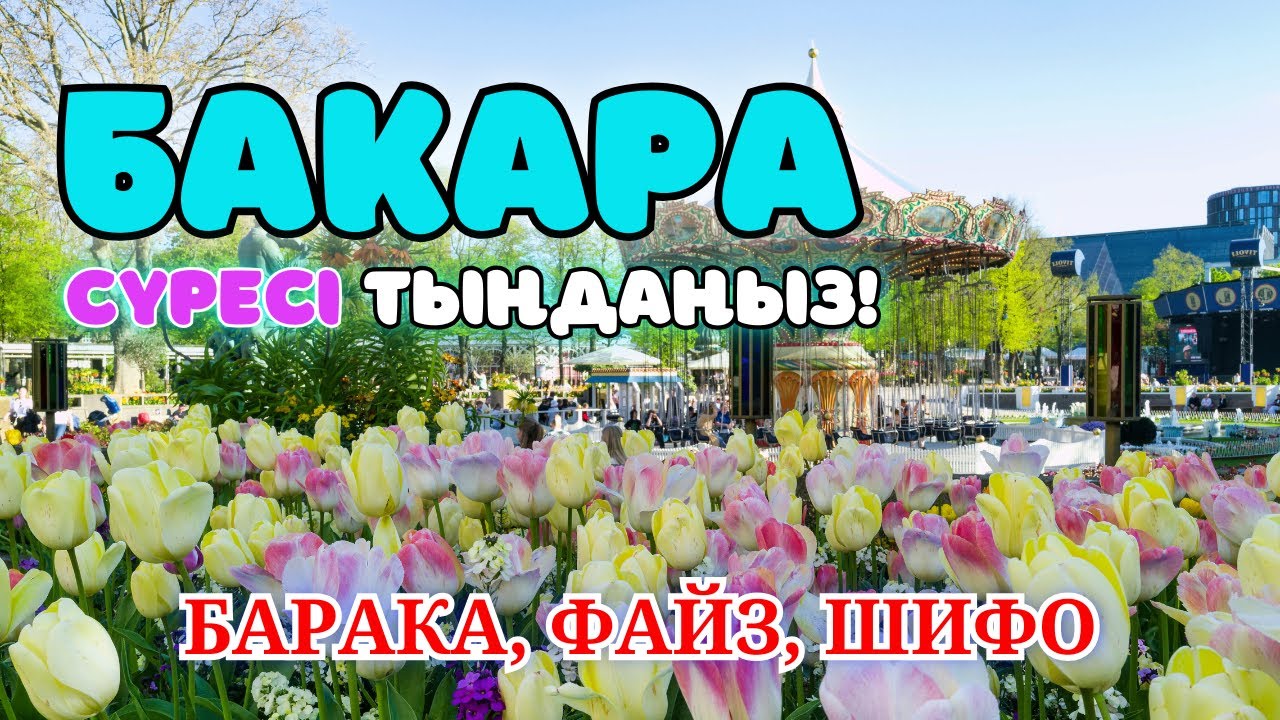 Бақара сүресі - Үйіңізді жамандықтан тазалайды! жын шайтан үйден қашып шығарады. сурелер мен дугалар