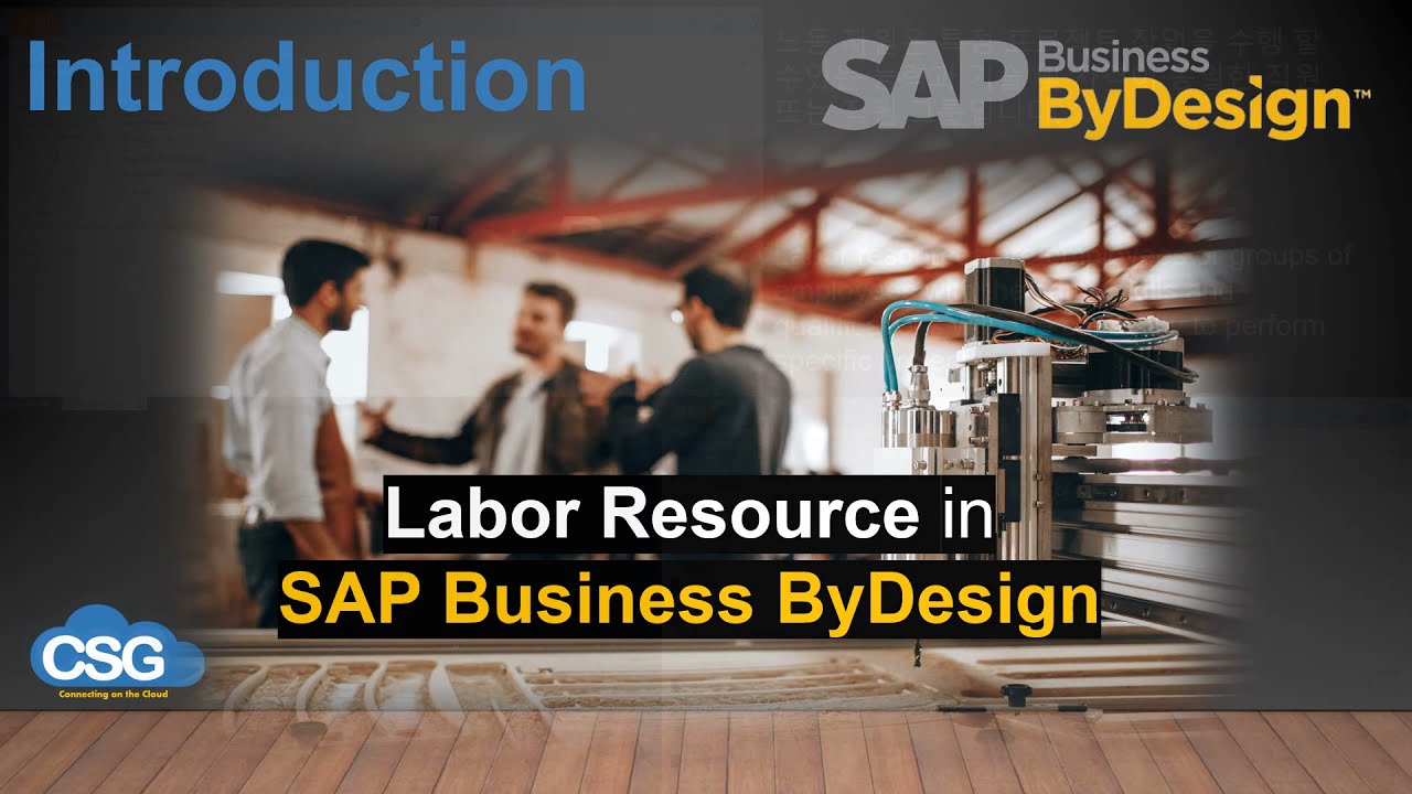 Overview of Labour Resource in SAP Business ByDesign