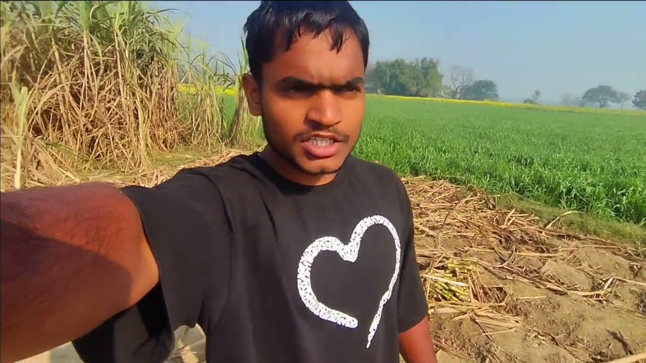 Daily Vlog #ganna #ke #khet #ka #kaam 