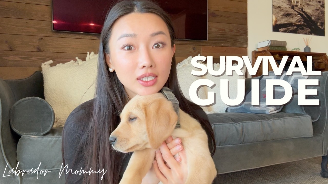 Puppy starter kit: how to survive your first weeks
