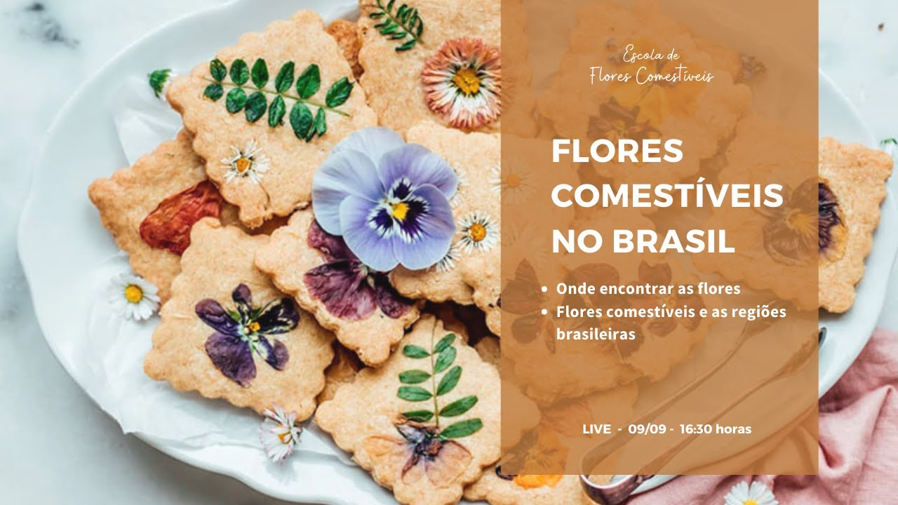 Onde encontrar flores comestíveis?