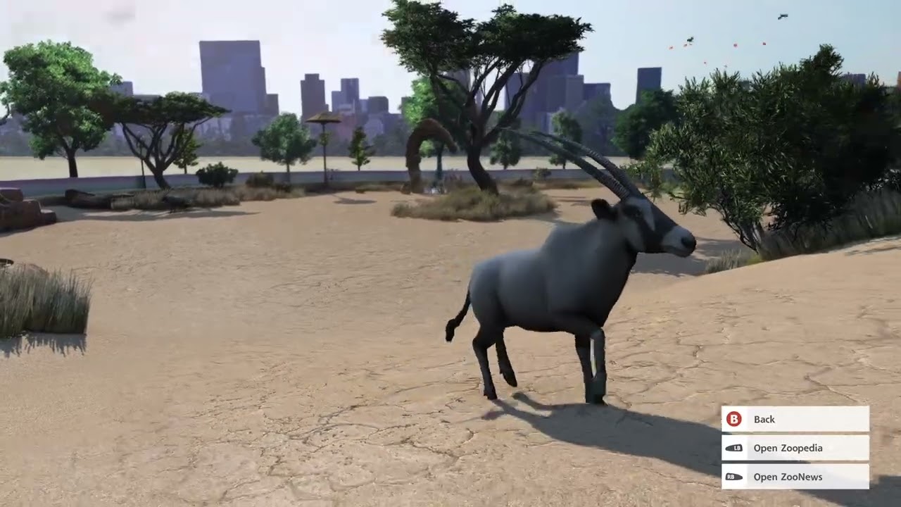 Zoo Tycoon: Ultimate Animal Collection Arabian Oryx Gameplay