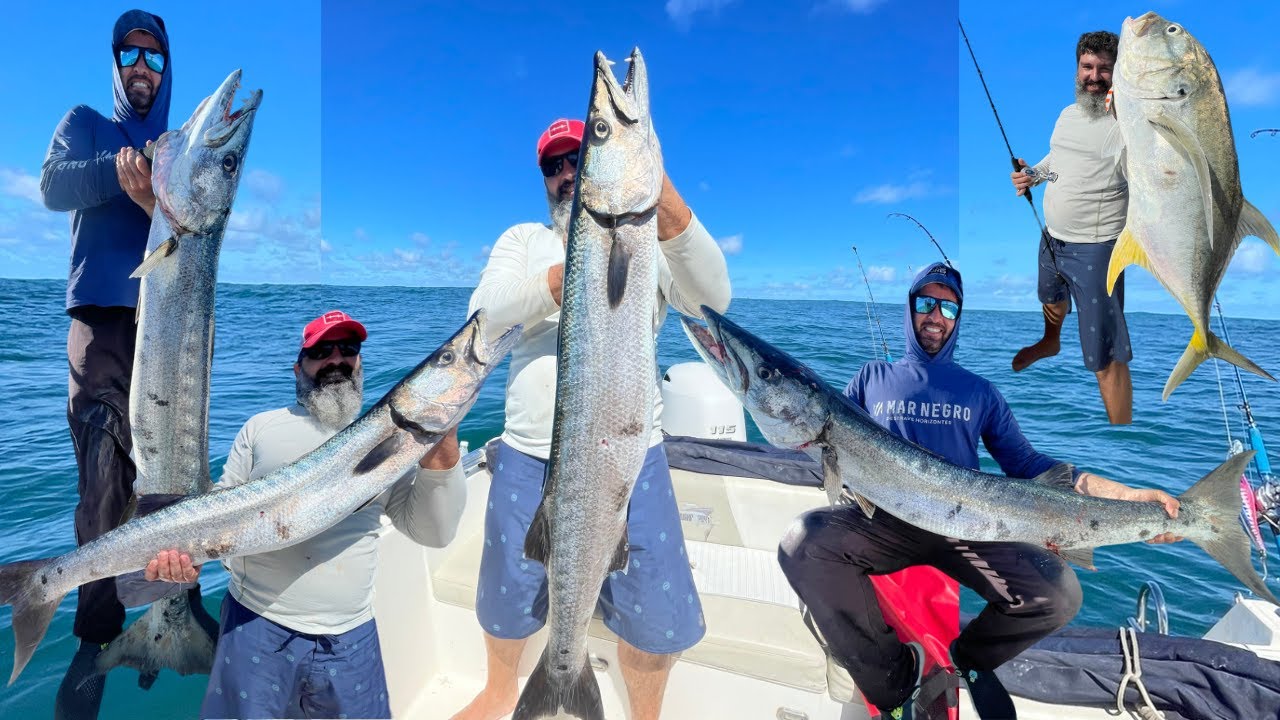 Barracudas Monstruosas: A Maior Aventura de Pesca Embarcada! 🐟💥