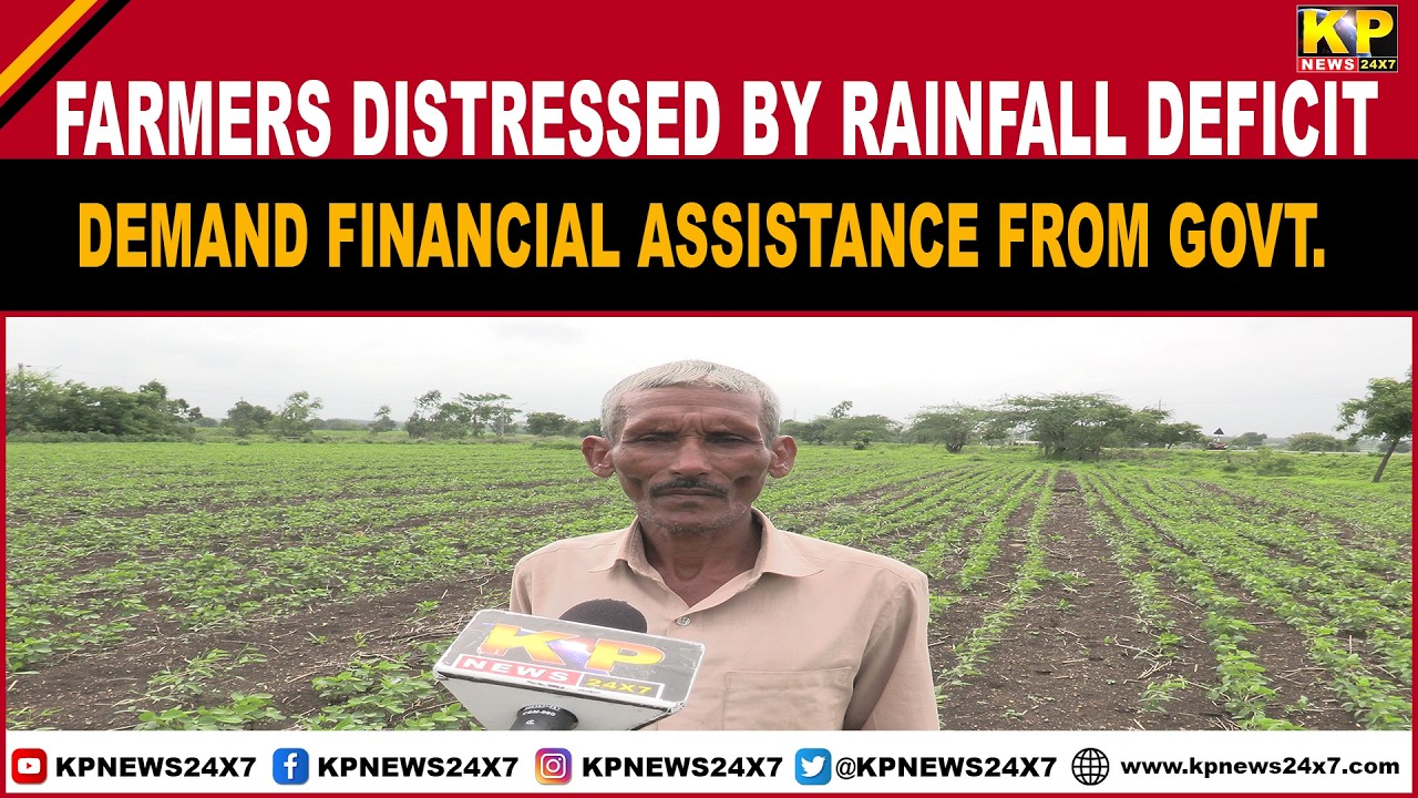 Bidar News | Farmers distressed by lack of rainfall; demand financial assistance from Govt.