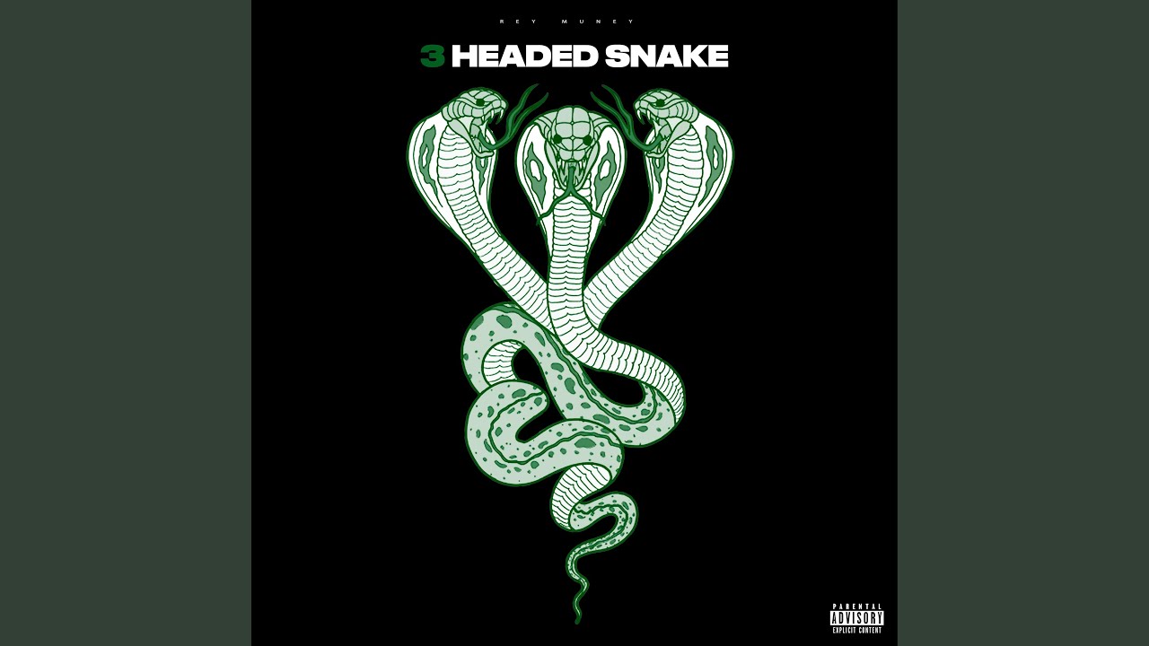 Ain&rsquo;t No Limit