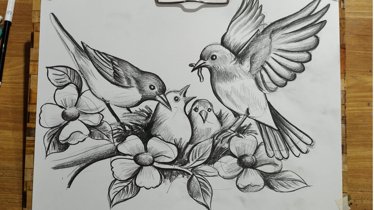 HOW TO DRAW BIRD FAMILY,BIRD AND FLOWERS DRAWING WITH PENCIL SKETCH,BIRD & NEST DRAWING,BIRD DRAWING